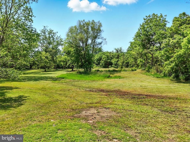  - view of green lawn with a forest view