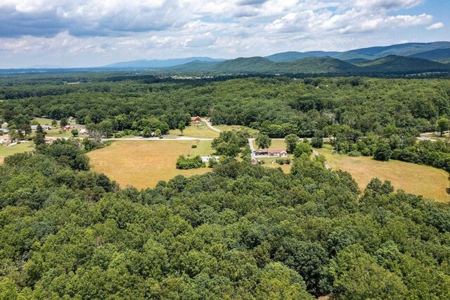 1655 Howardsville Tpke, Stuarts Draft, VA 24477 - drone / aerial view featuring a forest view and a mountain view
