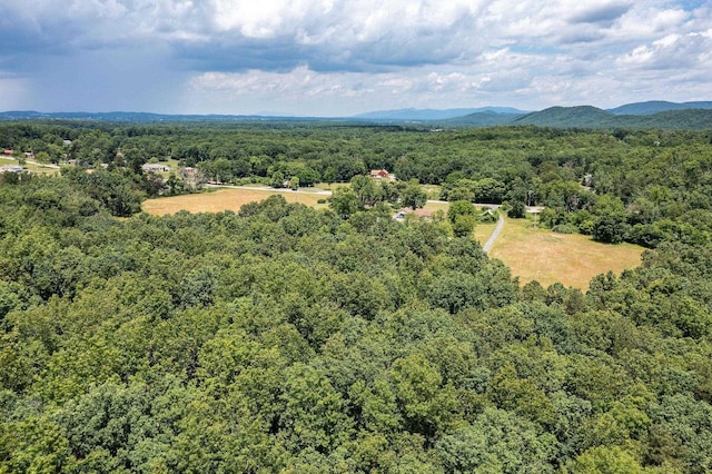 1655 Howardsville Tpke, Stuarts Draft, VA 24477 - aerial view with a view of trees