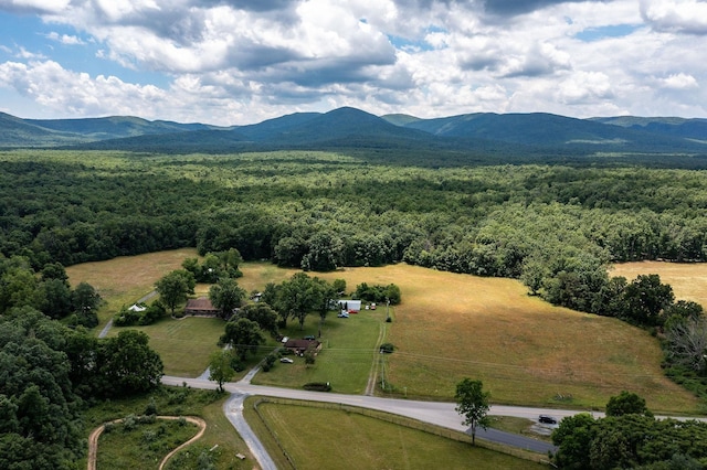 1655 Howardsville Tpke, Stuarts Draft, VA 24477 - photo 65