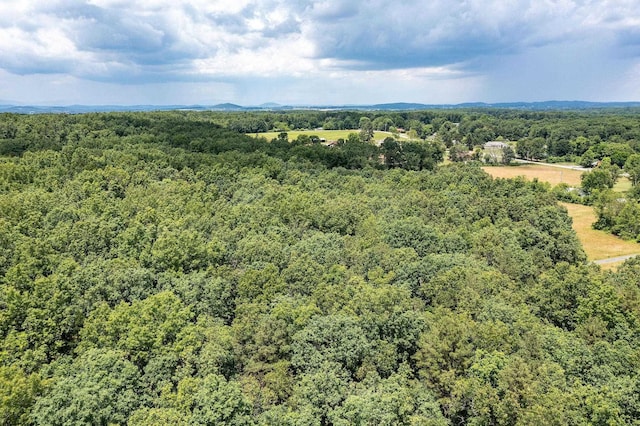 1655 Howardsville Tpke, Stuarts Draft, VA 24477 - drone / aerial view with a view of trees