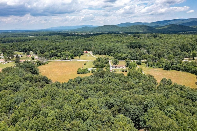 1655 Howardsville Tpke, Stuarts Draft, VA 24477 - photo 63