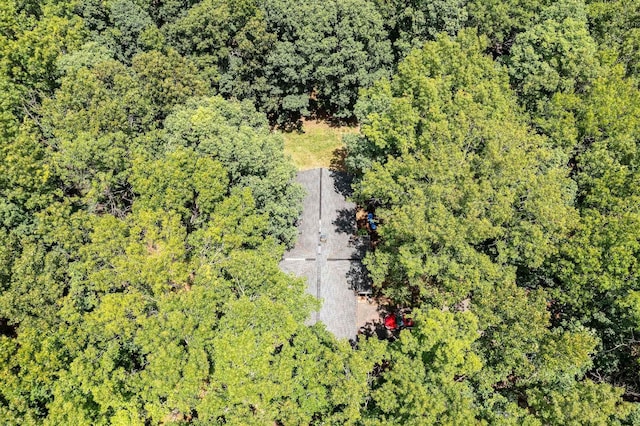 1655 Howardsville Tpke, Stuarts Draft, VA 24477 - aerial view featuring a wooded view