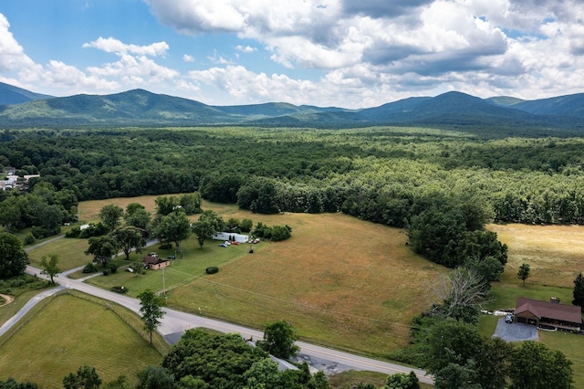 1655 Howardsville Tpke, Stuarts Draft, VA 24477 - photo 36