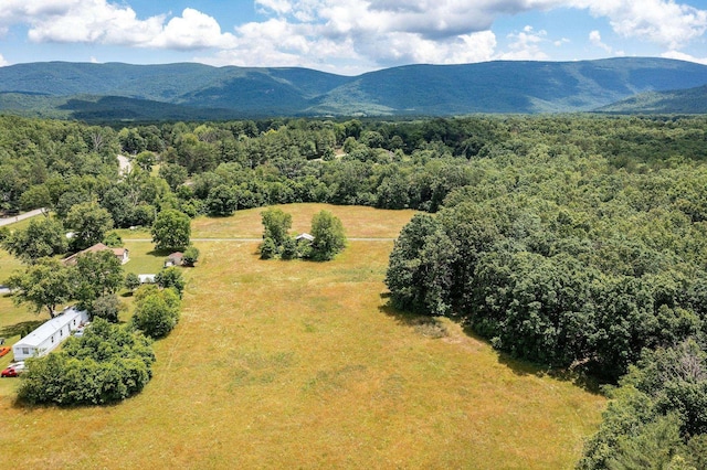 1655 Howardsville Tpke, Stuarts Draft, VA 24477 - drone / aerial view featuring a mountain view and a wooded view