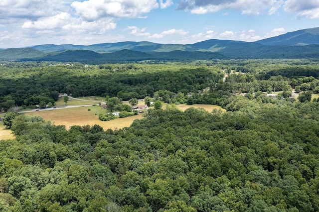 1655 Howardsville Tpke, Stuarts Draft, VA 24477 - photo 53