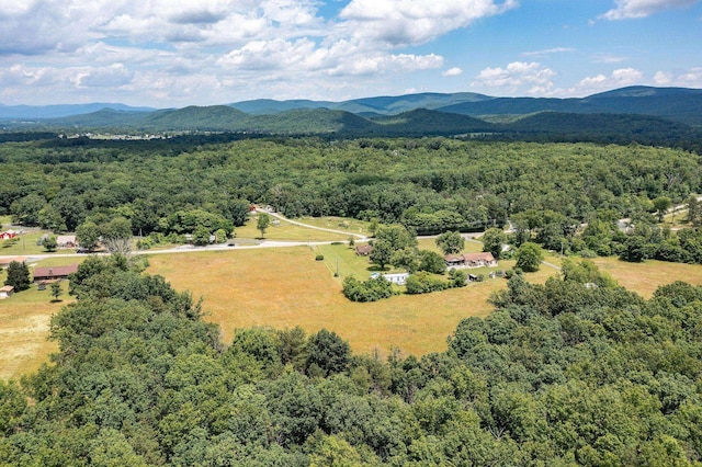 1655 Howardsville Tpke, Stuarts Draft, VA 24477 - bird's eye view with a mountain view and a wooded view