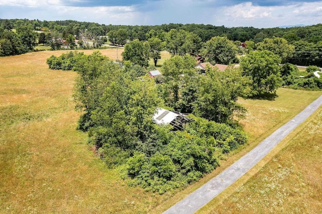 1655 Howardsville Tpke, Stuarts Draft, VA 24477 - photo 51