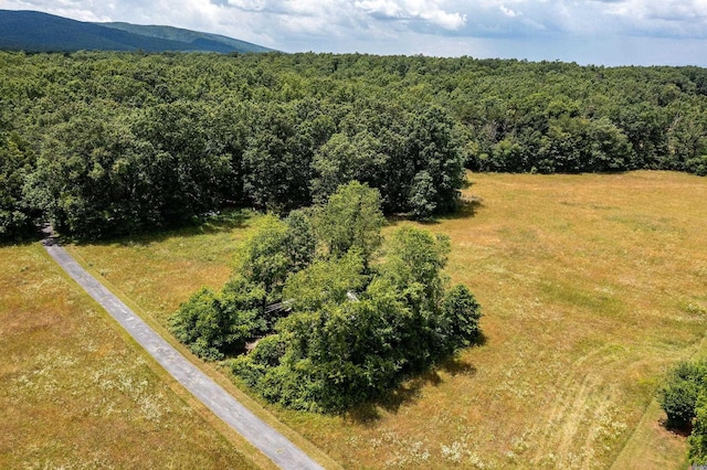 1655 Howardsville Tpke, Stuarts Draft, VA 24477 - birds eye view of property with a view of trees and a mountain view