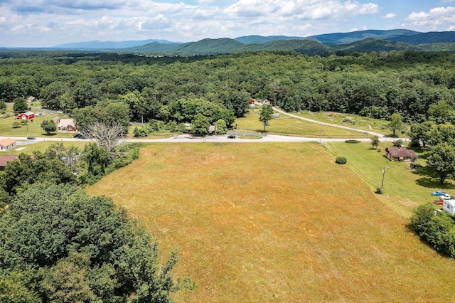 1655 Howardsville Tpke, Stuarts Draft, VA 24477 - drone / aerial view with a forest view and a mountain view