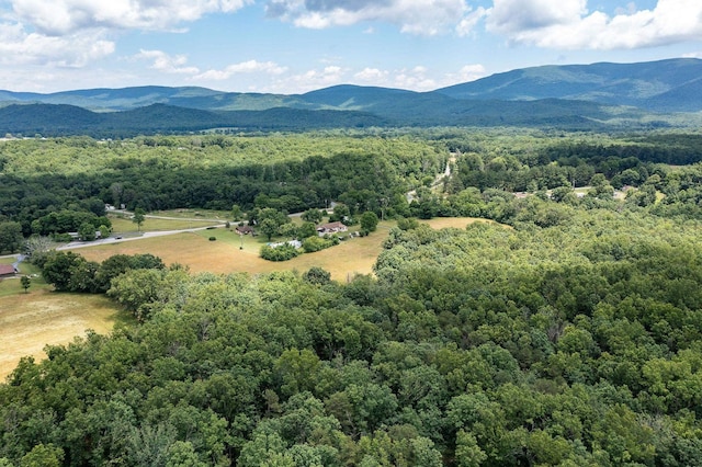 1655 Howardsville Tpke, Stuarts Draft, VA 24477 - photo 73