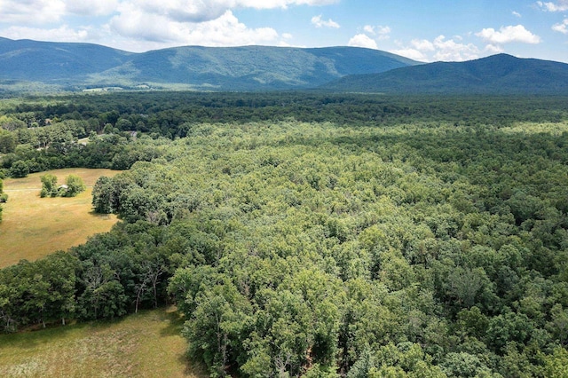 1655 Howardsville Tpke, Stuarts Draft, VA 24477 - property view of mountains with a forest view