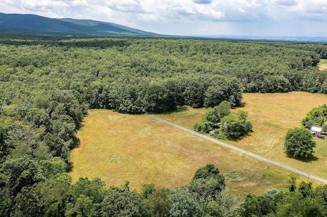 1655 Howardsville Tpke, Stuarts Draft, VA 24477 - bird's eye view with a wooded view and a mountain view