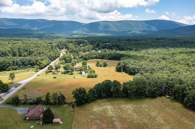 1655 Howardsville Tpke, Stuarts Draft, VA 24477 - photo 45