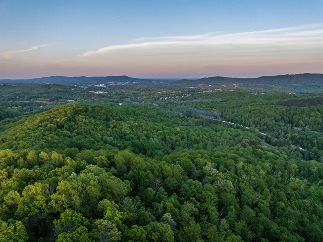 1166 Monacan Trail Rd, Charlottesville, VA 22903 - photo 17