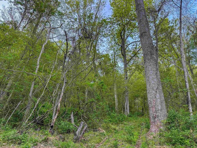 1166 Monacan Trail Rd, Charlottesville, VA 22903 - photo 8