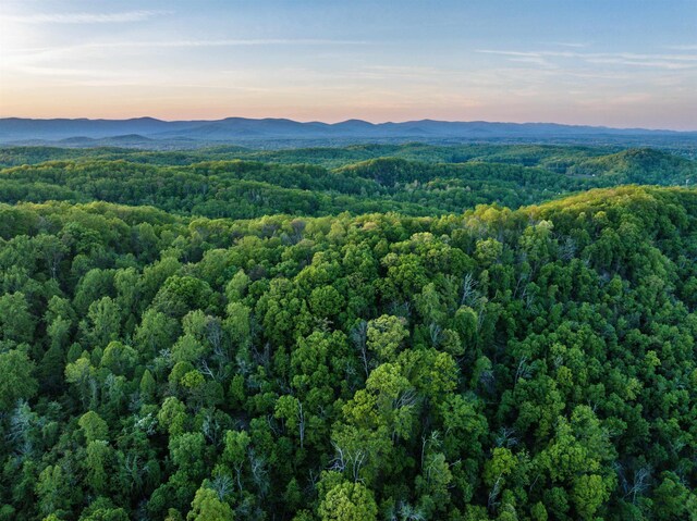1166 Monacan Trail Rd, Charlottesville, VA 22903 - photo 19