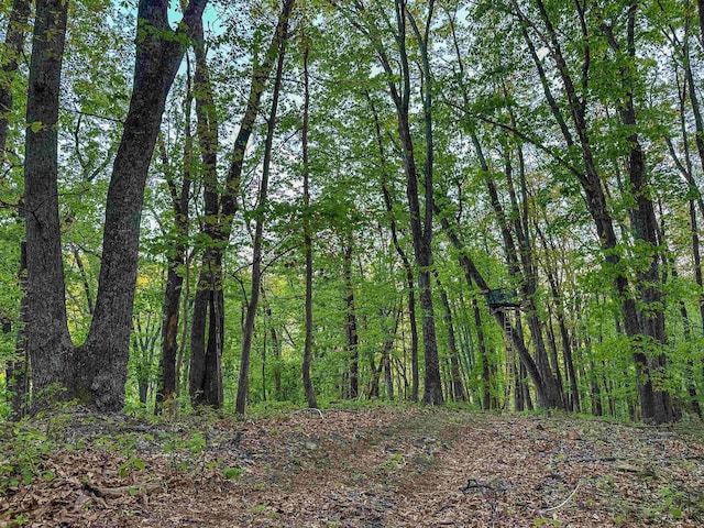 1166 Monacan Trail Rd, Charlottesville, VA 22903 - photo 12