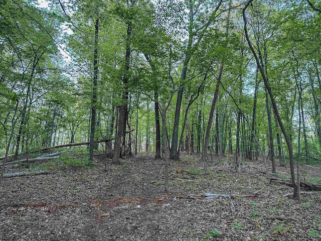 1166 Monacan Trail Rd, Charlottesville, VA 22903 - photo 16