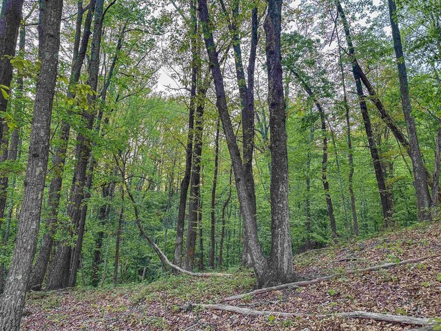1166 Monacan Trail Rd, Charlottesville, VA 22903 - photo 11
