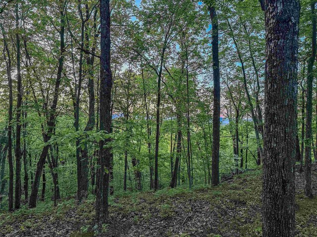 1166 Monacan Trail Rd, Charlottesville, VA 22903 - photo 15