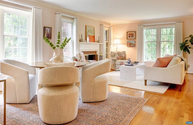 560 Worthington Dr, Charlottesville, VA 22903 - dining area featuring plenty of natural light, light wood-type flooring, baseboards, and ornamental molding