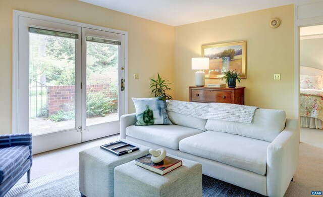 560 Worthington Dr, Charlottesville, VA 22903 - view of green lawn