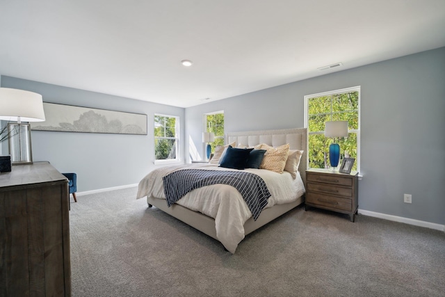 TBD Fairfield Dr, Staunton, VA 24401 - bedroom featuring baseboards, multiple windows, and carpet