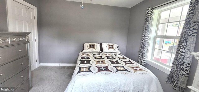 320 Third St, Fredericksburg, VA 22408 - bedroom featuring carpet and multiple windows