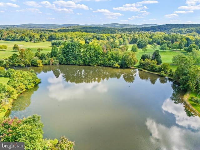 aerial view of a water and mountain view and a forest