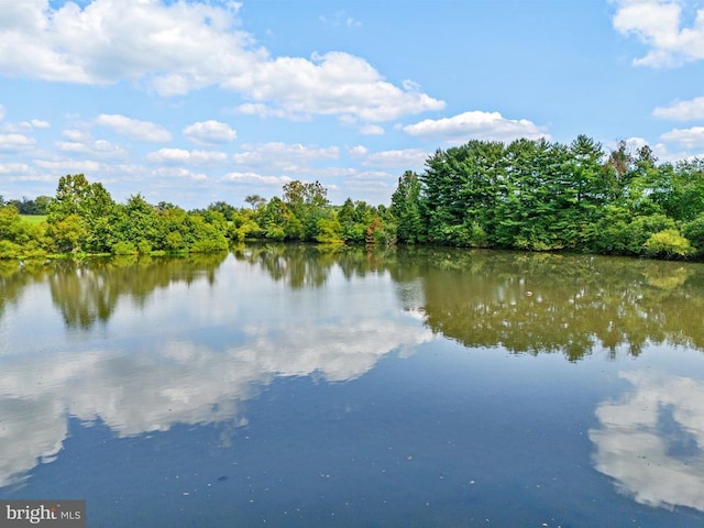 water view with a forest