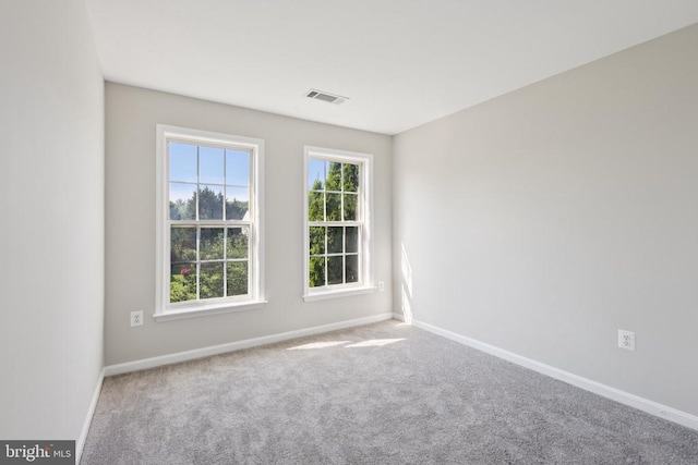 273 Parker Pl, Orange, VA 22960 - photo 19