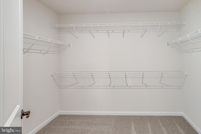 35607 Pine Needle Ln, Locust Grove, VA 22508 - spacious closet with carpet flooring