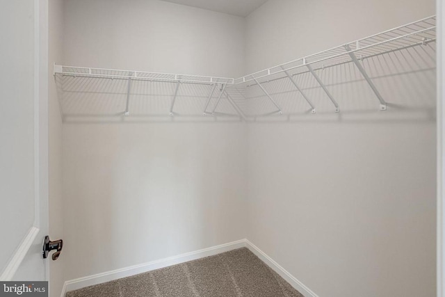 35607 Pine Needle Ln, Locust Grove, VA 22508 - walk in closet featuring carpet