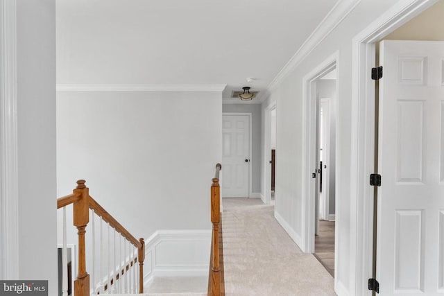 10300 Hampton Ln N, Fredericksburg, VA 22408 - photo 36
