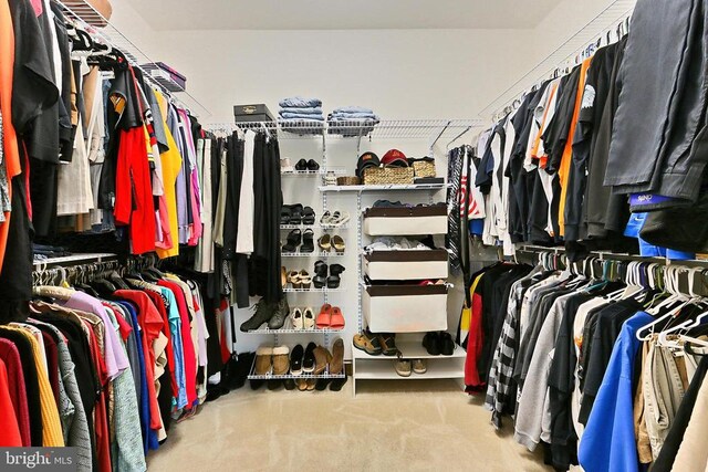  - walk in closet with carpet