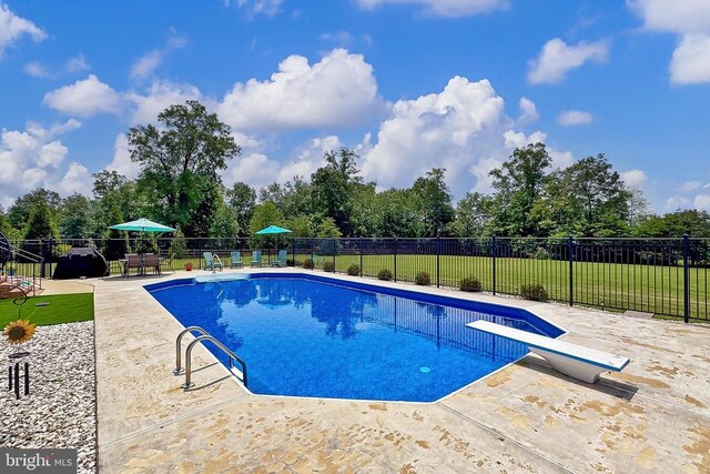  - view of pool featuring a patio area, view of wooded area, and a diving board