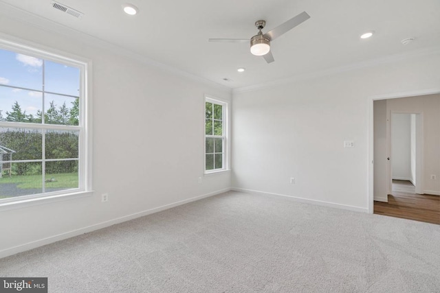 159 Alma Rd, Louisa, VA 23093 - photo 24