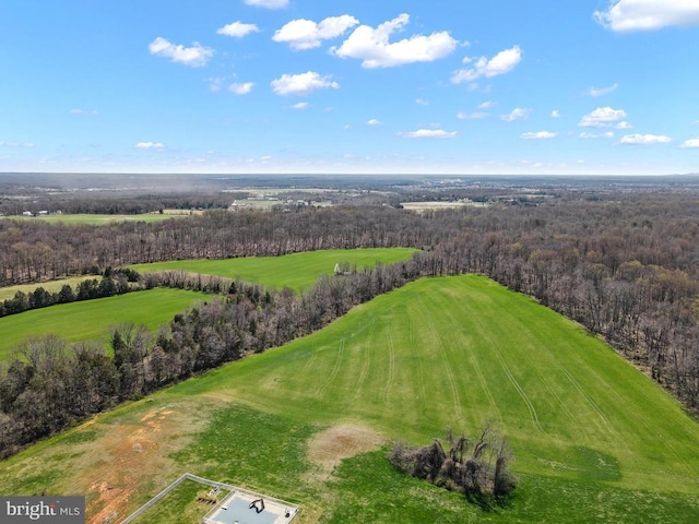 bird's eye view of a forest