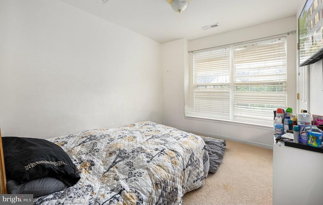 7207 Finch Ln, Fredericksburg, VA 22407 - bedroom featuring carpet floors