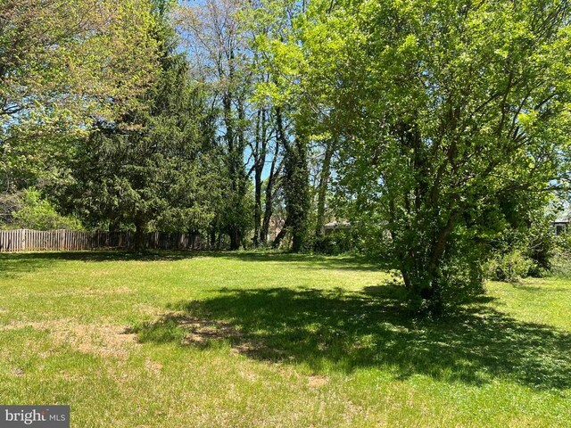 377 Cleveland St, Warrenton, VA 20186 - view of yard
