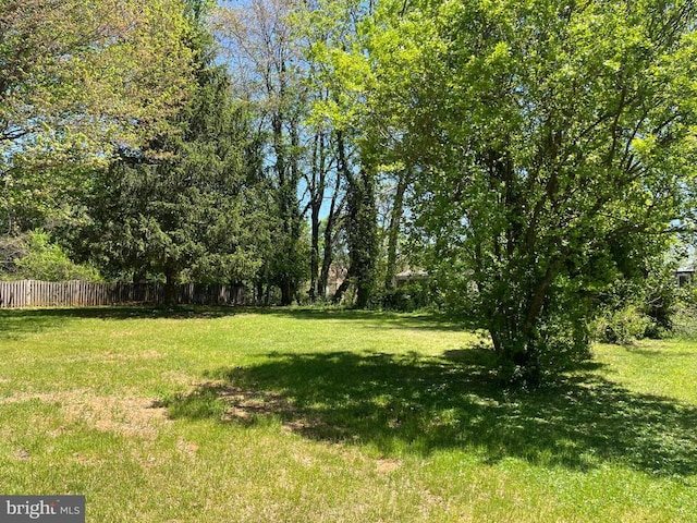 377 Cleveland St, Warrenton, VA 20186 - view of yard