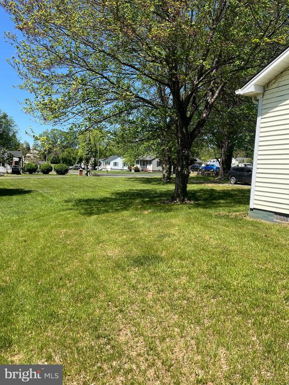 377 Cleveland St, Warrenton, VA 20186 - view of grassy yard