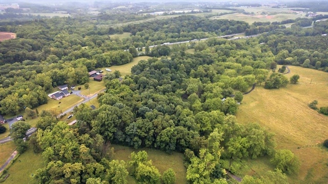 4767 Ox Rd S, Edinburg, VA 22824 - overview of rural landscape