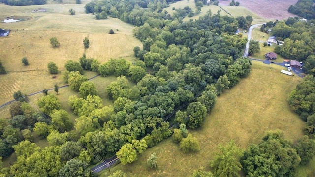 4767 Ox Rd S, Edinburg, VA 22824 - overview of rural landscape