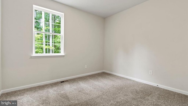 11796 Wales Dr, Fredericksburg, VA 22407 - carpeted empty room featuring plenty of natural light