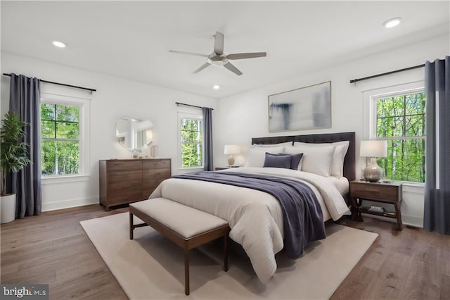 465 Glenmore Ln Lot 30, Keswick, VA 22947 - bedroom with multiple windows, wood finished floors, baseboards, recessed lighting, and ceiling fan