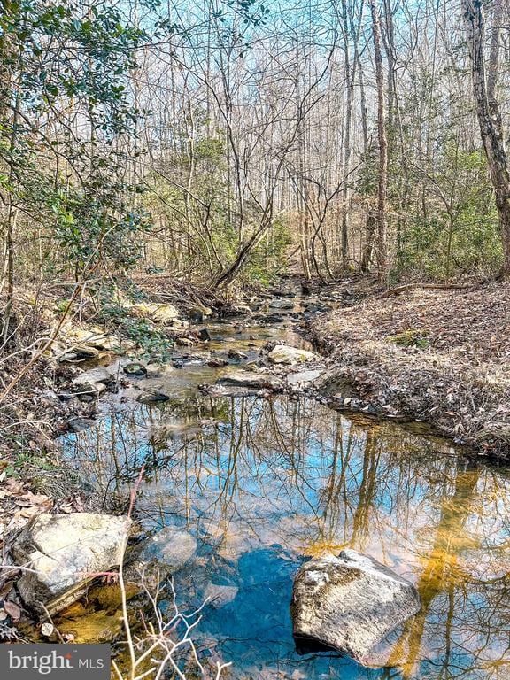 water view featuring a forest view