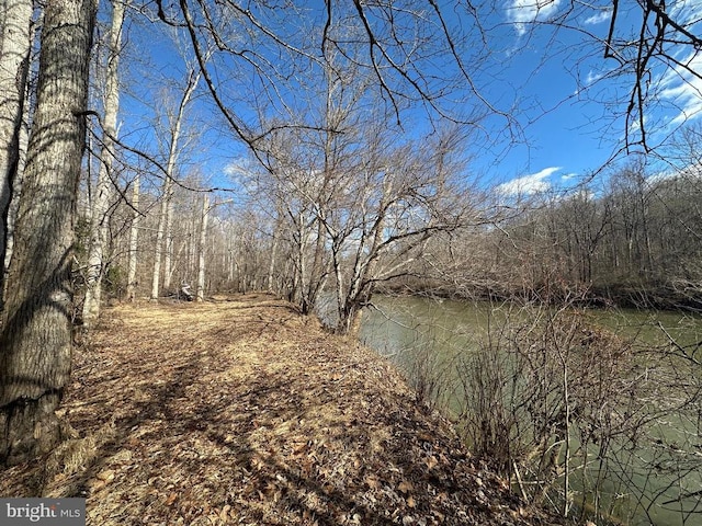 view of water feature featuring a forest view