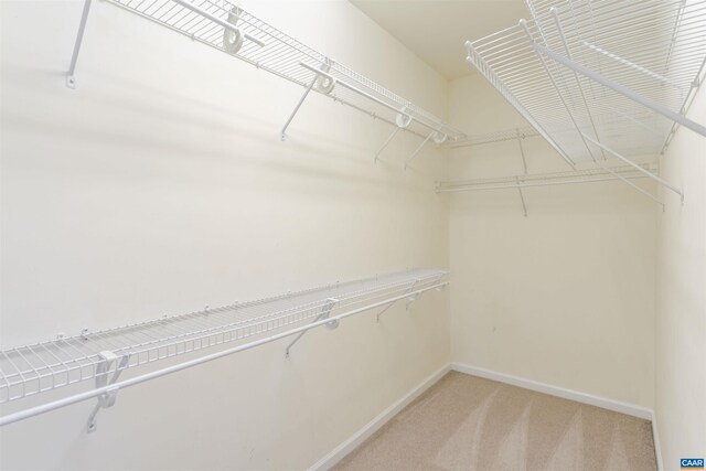 1875 Clay Dr, Crozet, VA 22932 - spacious closet with light colored carpet
